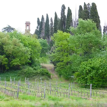 Casa Rolu Daire *